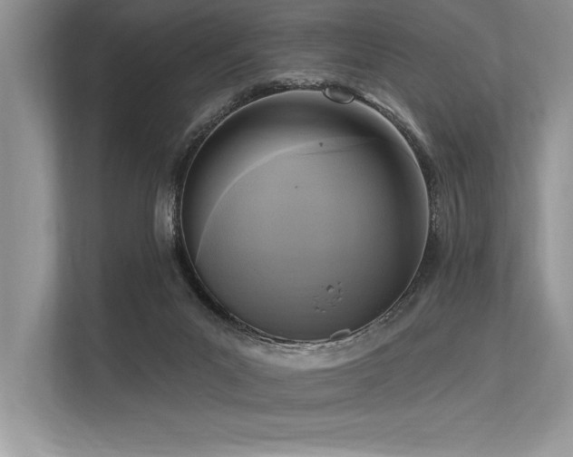 X0000113300023200909211130