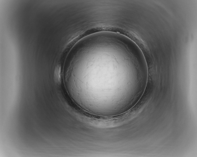 X0000113300024200909211130