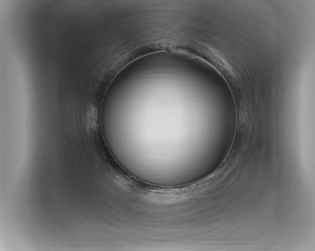 X0000113300025200909211130