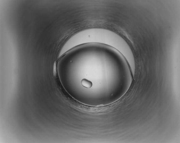 X0000113300027200909211130