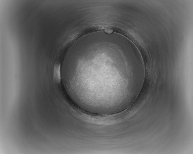 X0000113300028200909211130