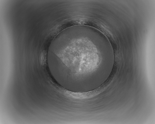 X0000113300030200909211130