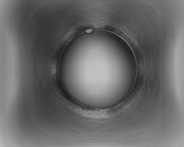 X0000113300032200909211130