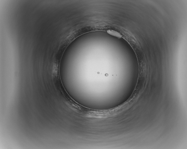 X0000113300033200909211130