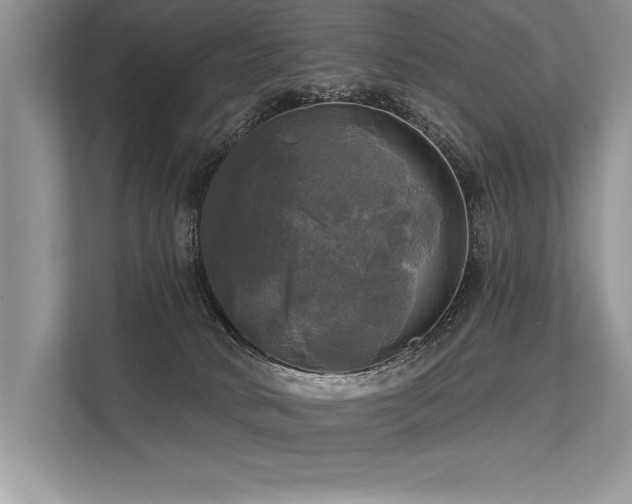 X0000113300034200909211130