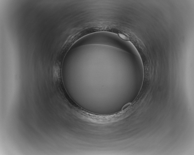 X0000113300035200909211130