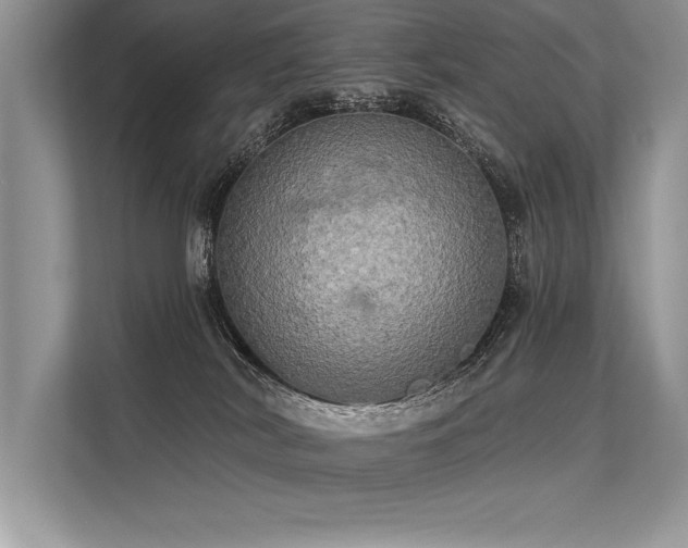 X0000113300038200909211130