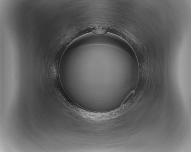 X0000113300039200909211130