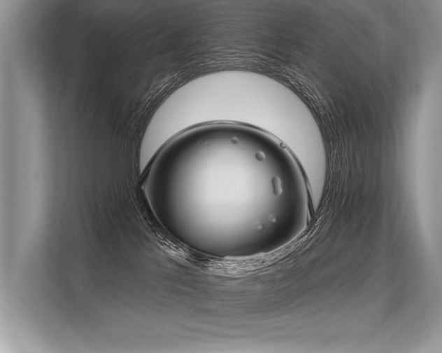 X0000113300041200909211130