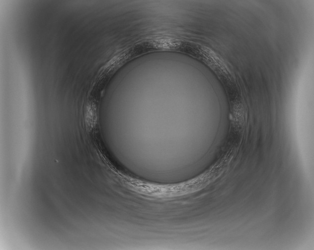 X0000113300043200909211130