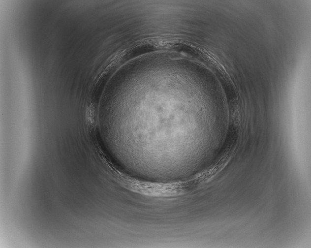 X0000113300044200909211130