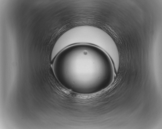 X0000113300045200909211130