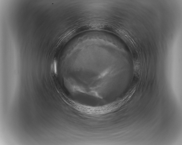 X0000113300046200909211130