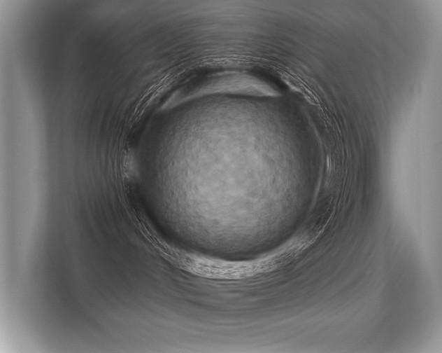 X0000113300048200909211130