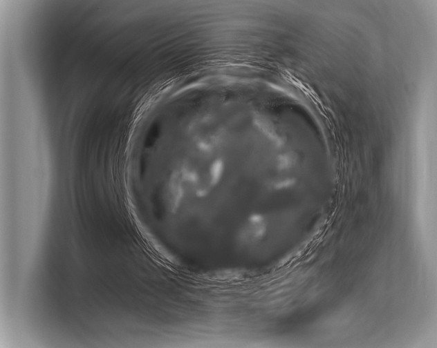 X0000113300049200909211129