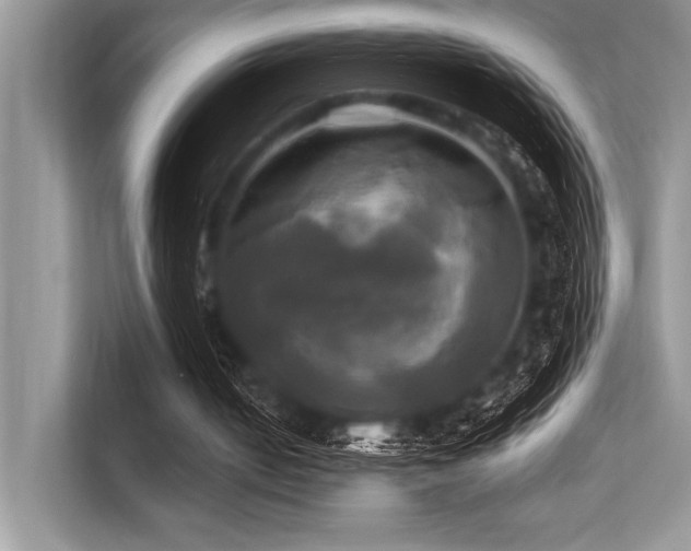 X0000113300050200909211129