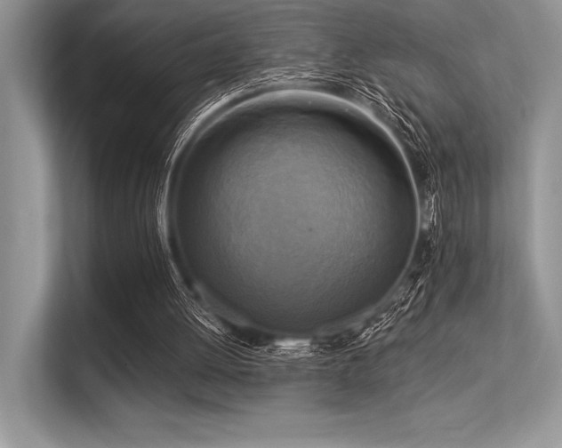 X0000113300052200909211129