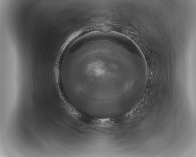 X0000113300054200909211129