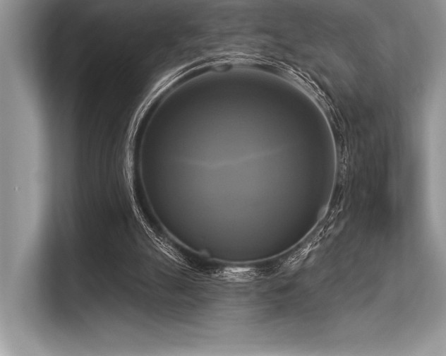 X0000113300055200909211129