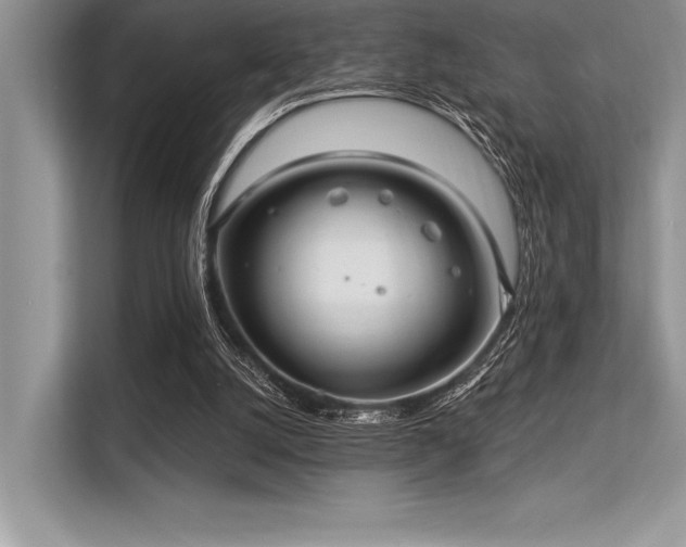 X0000113300056200909211130