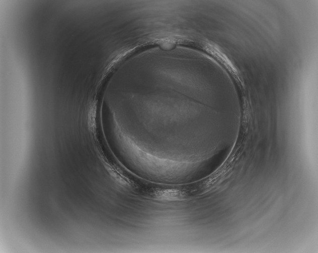 X0000113300058200909211130