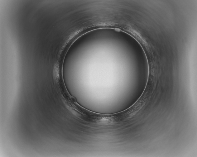 X0000113300060200909211130