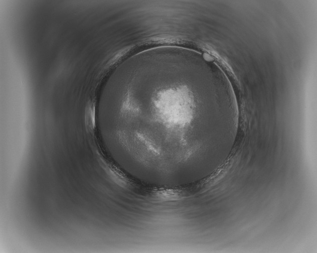 X0000113300062200909211130