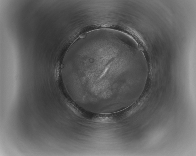 X0000113300065200909211130