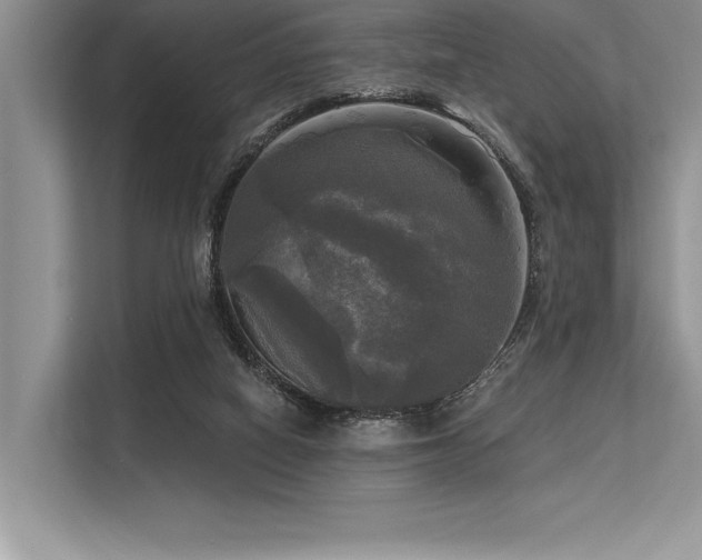 X0000113300066200909211130