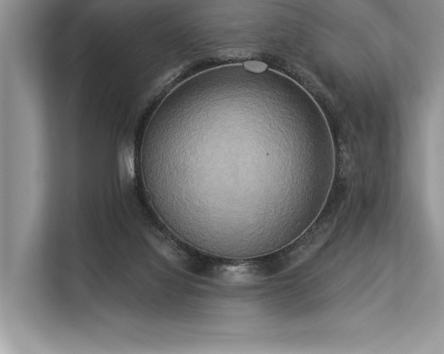 X0000113300068200909211130