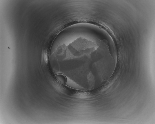 X0000113300069200909211130