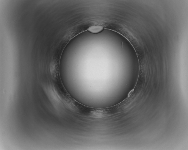 X0000113300079200909211130