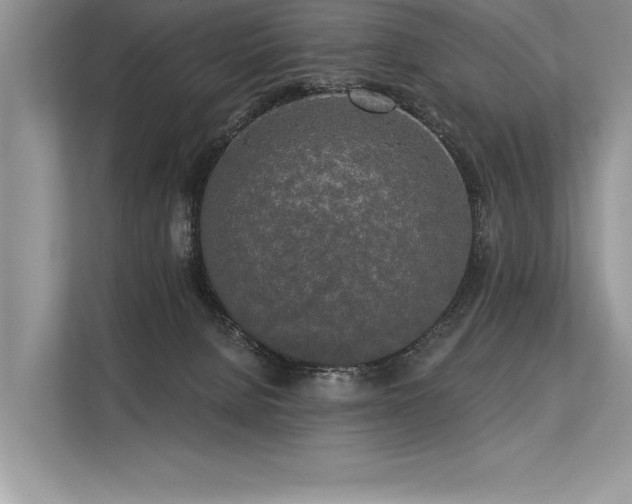 X0000113300080200909211130