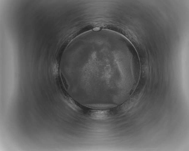 X0000113300081200909211130