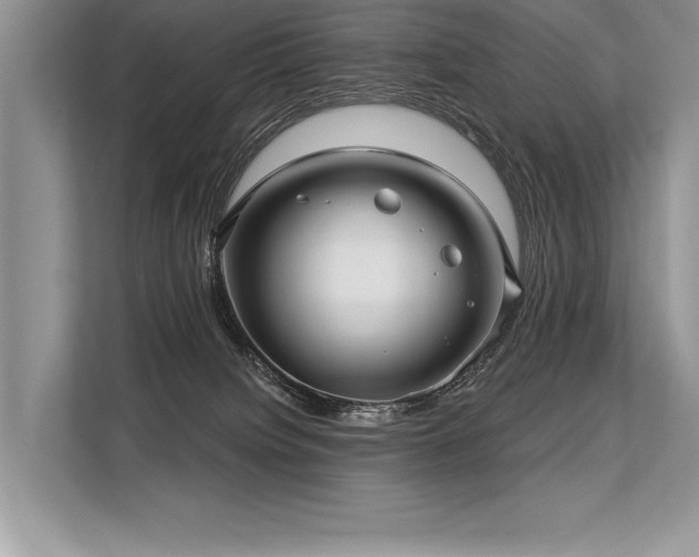 X0000113300084200909211130