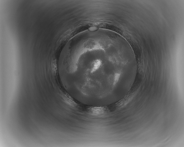 X0000113300085200909211130