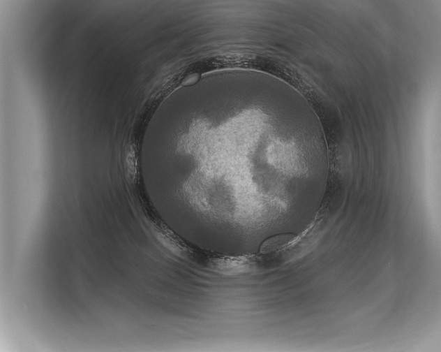 X0000113300086200909211130