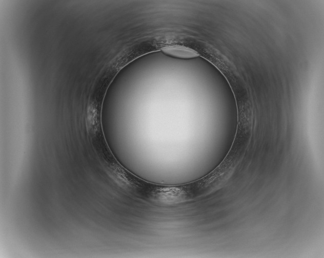 X0000113300087200909211130