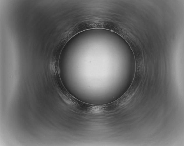 X0000113300088200909211130