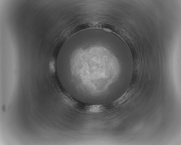 X0000113300090200909211130