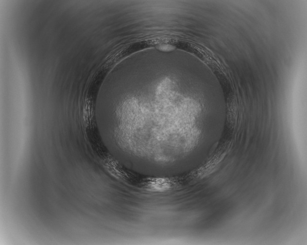 X0000113300091200909211130