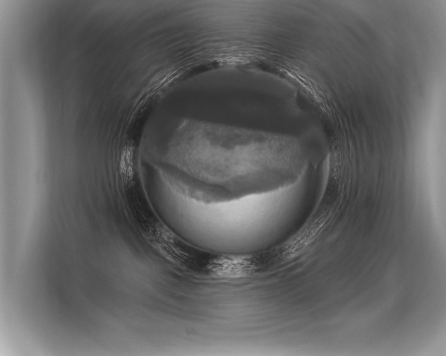 X0000113300093200909211130