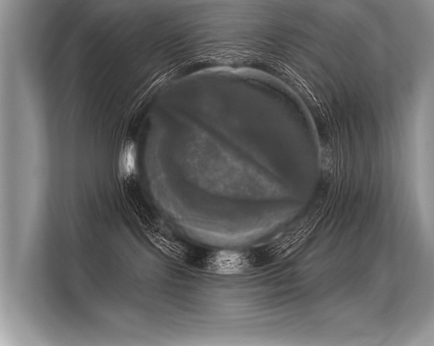 X0000113300095200909211130