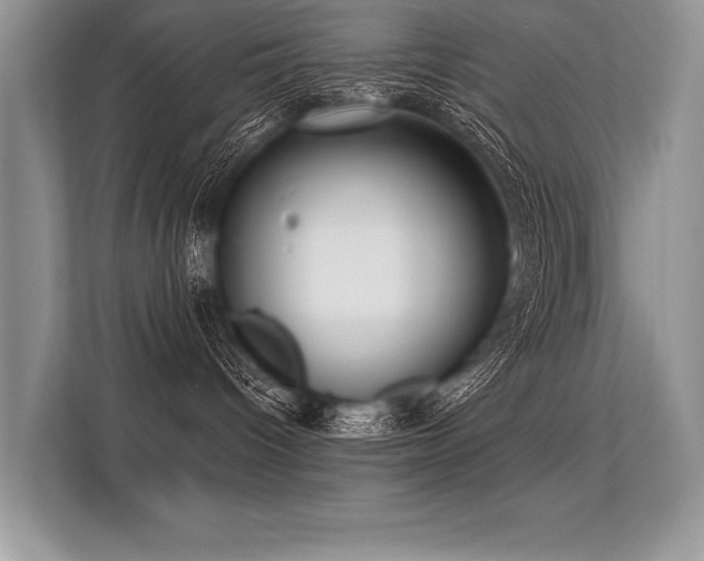 X0000113300096200909211130