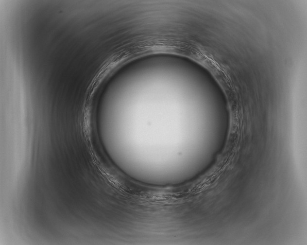 X0000113300098200909211129