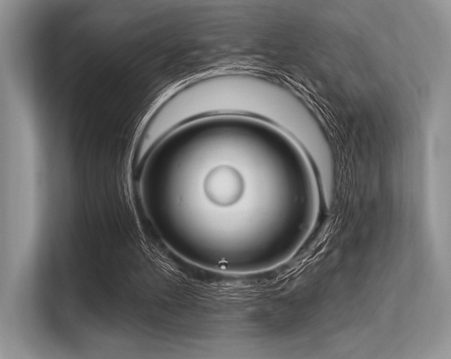 X0000113300100200909211129