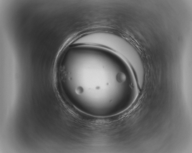 X0000113300101200909211129