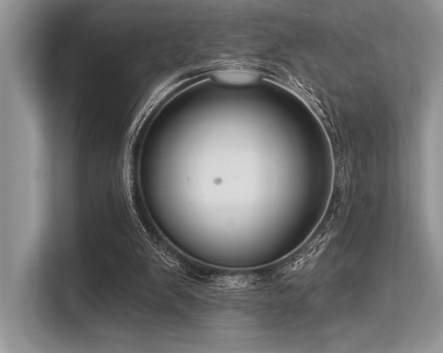 X0000113300103200909211129