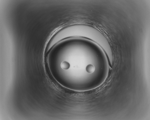 X0000113300104200909211129