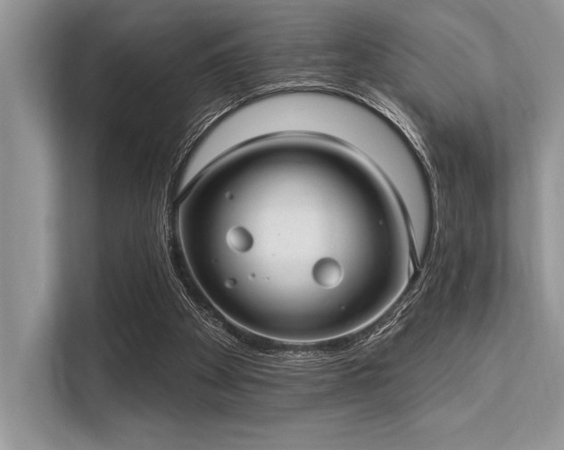 X0000113300105200909211129